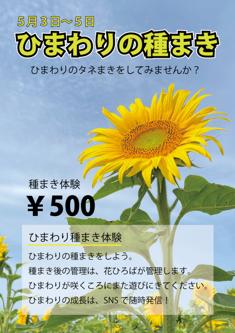 【公式】観光農園花ひろば （いちご狩り/ひまわり/松葉ボタンなどの花が楽しめる） » この夏の思い出！ひまわりの種まきをしよう