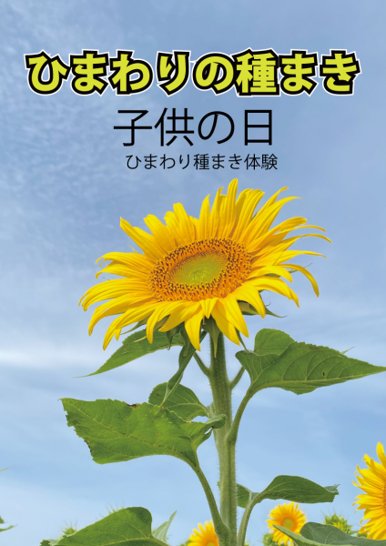 5月5日子供の日限定 ひまわりの種まきイベント | 観光農園 花ひろば