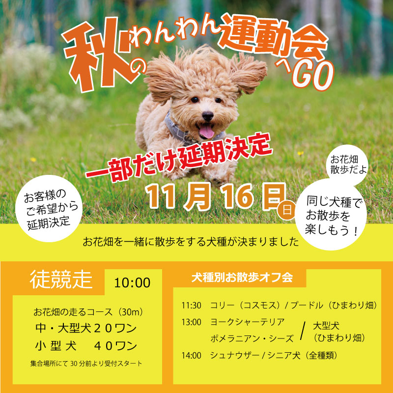 延期決定-3.jpg