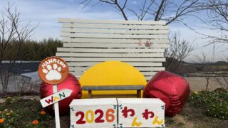 わんちゃんイベント準備が完成しました | 観光農園 花ひろば｜愛知県